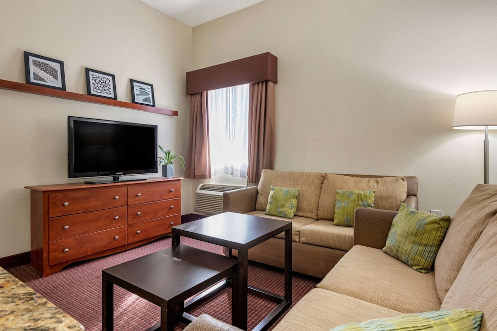 Suite, 1 King Bed with Sofa bed, Non Smoking photo 1