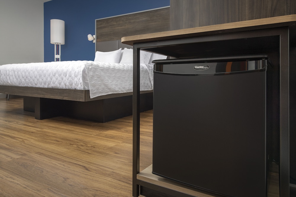 Room, 1 King Bed, Accessible (Roll-In Shower) - Photo 8