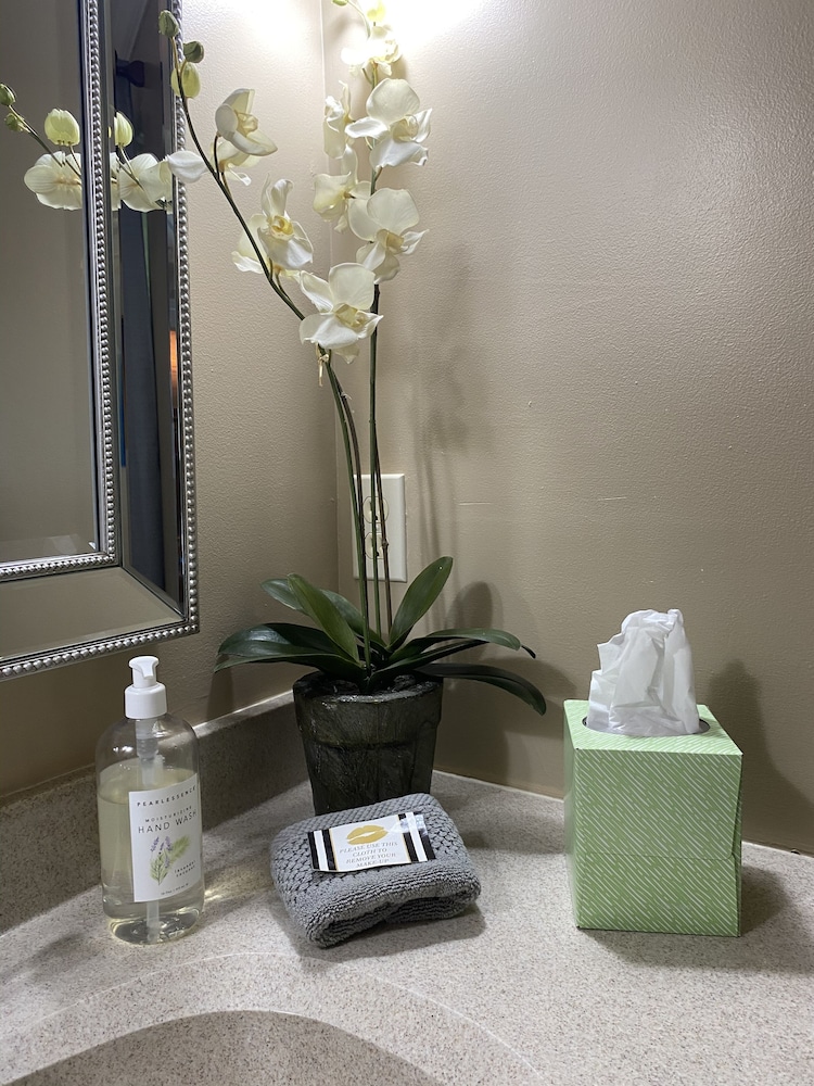 Family Cottage, 1 Bedroom, Kitchen, Mountain View (Pet Friendly) photo 3