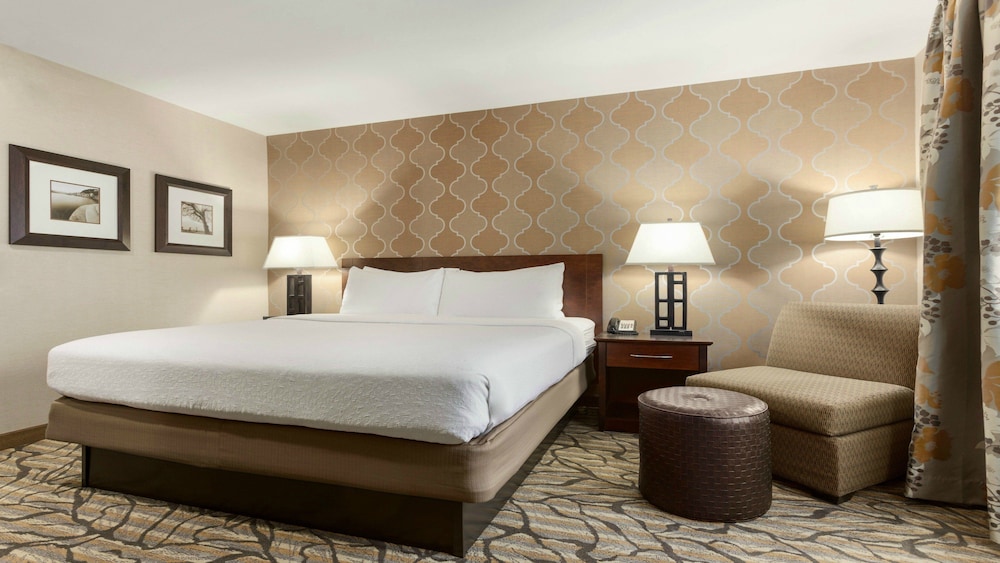 Suite, 1 Bedroom - Photo 2