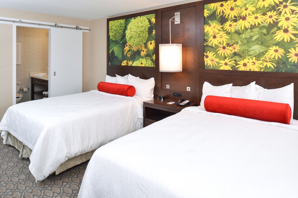 Standard Room, 2 Queen Beds, Refrigerator & Microwave photo 1