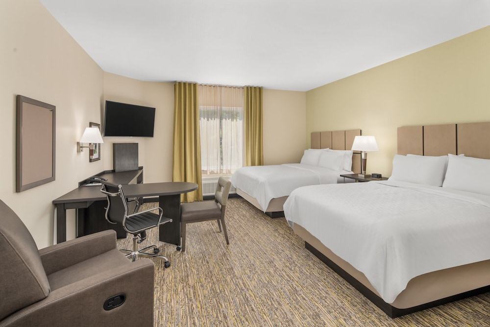 Studio Suite, 2 Queen Beds - Photo 3