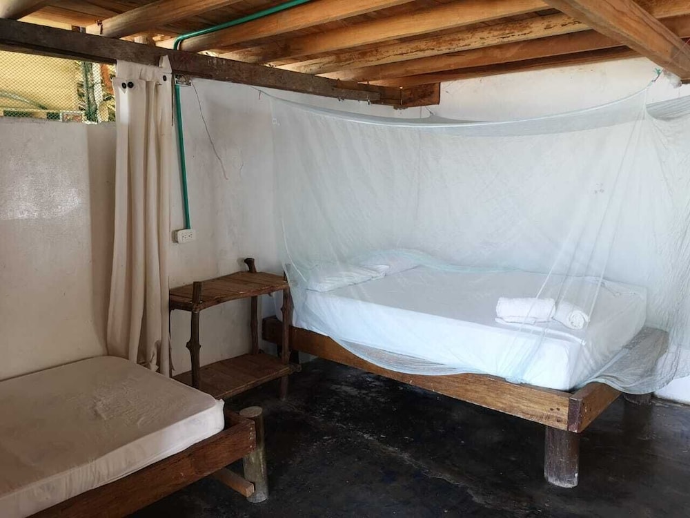 Traditional Room photo 1
