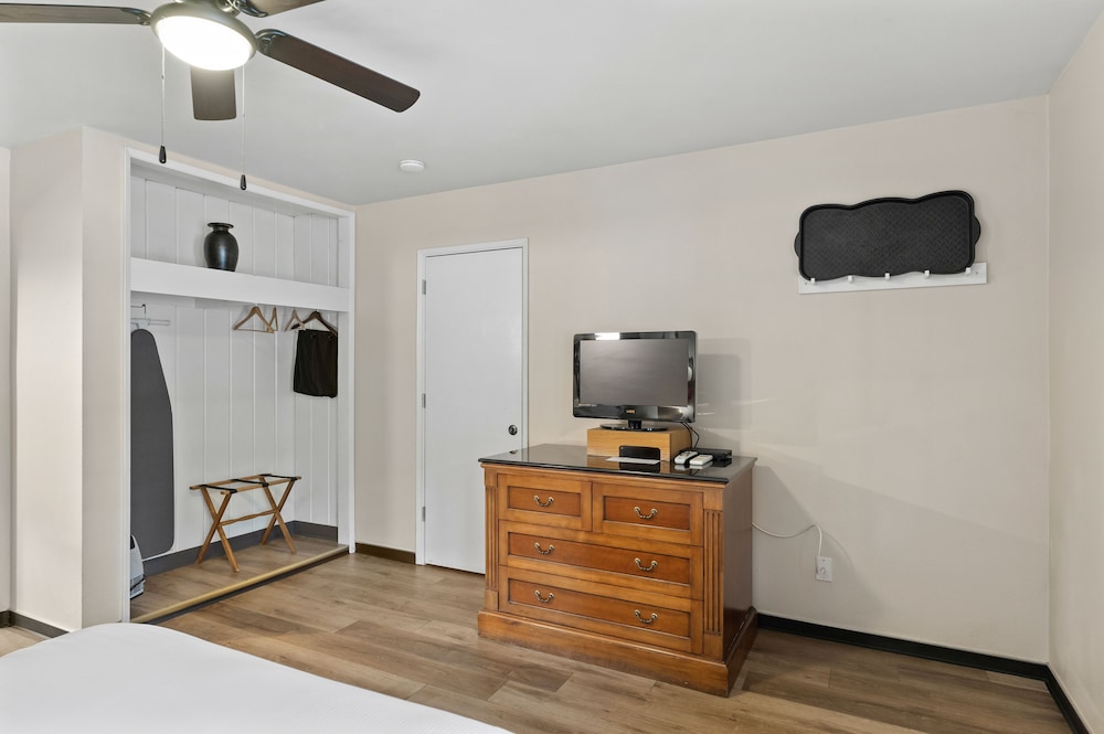 Deluxe Single Room, 1 Queen Bed, Kitchenette photo 3