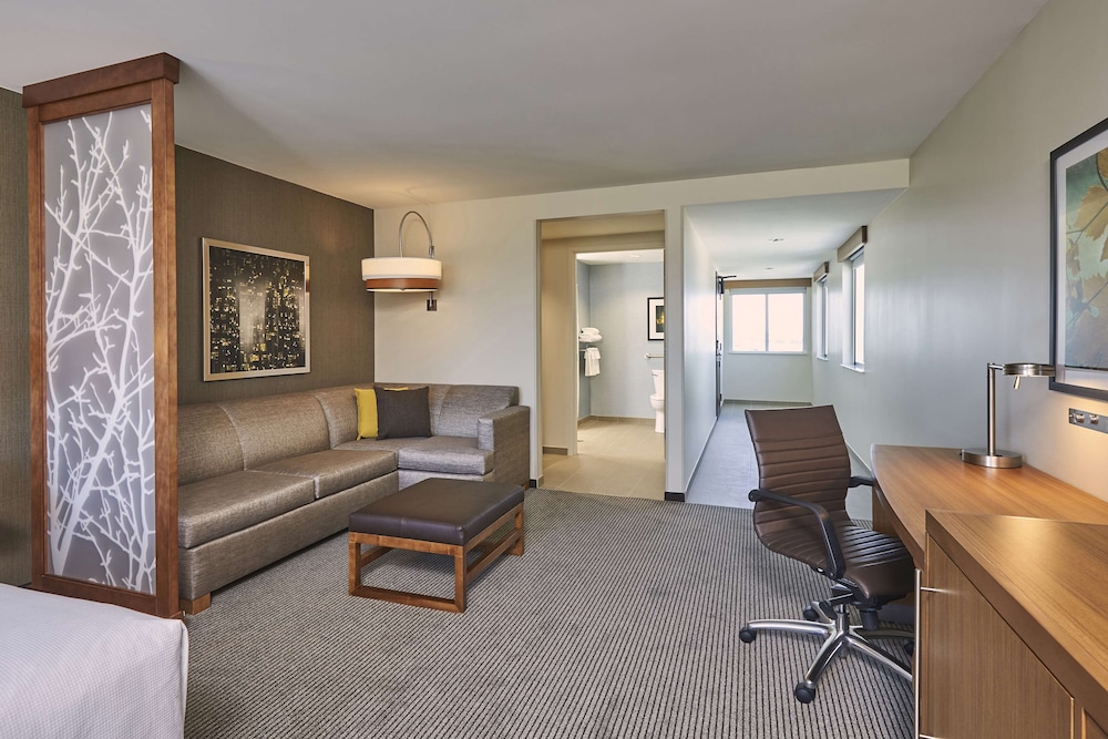 Room, Accessible (King Bed/Roll-in Shower plus Sofa Bed)