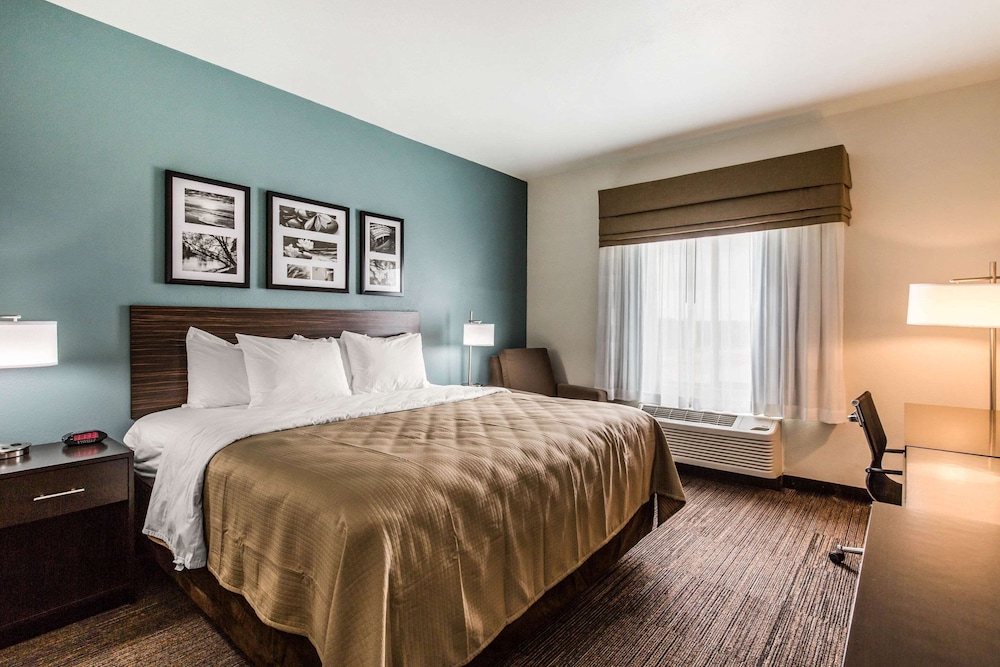 Standard Room, 1 King Bed, Non Smoking photo 1