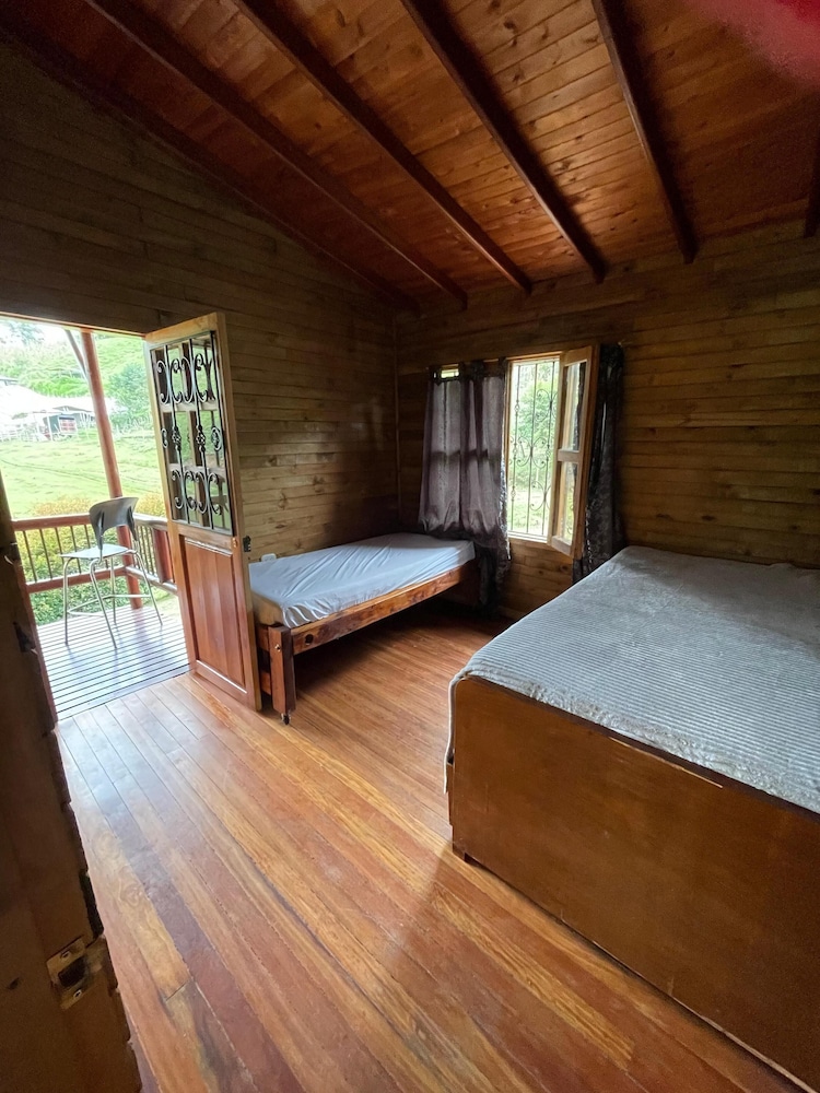 Premium Cabin photo 1