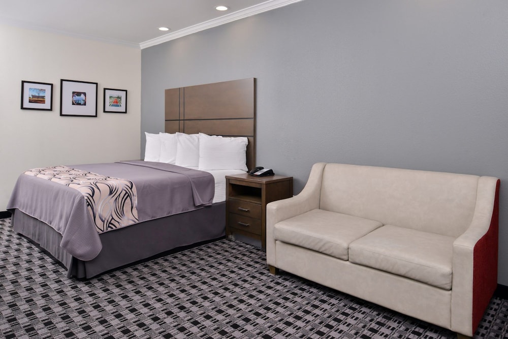 Deluxe Single Room, Kitchenette photo 1