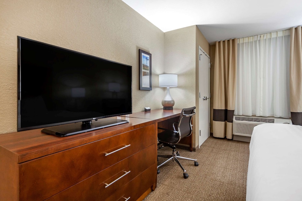 Standard Room, 1 King Bed, Non Smoking (Pet Friendly) photo 3
