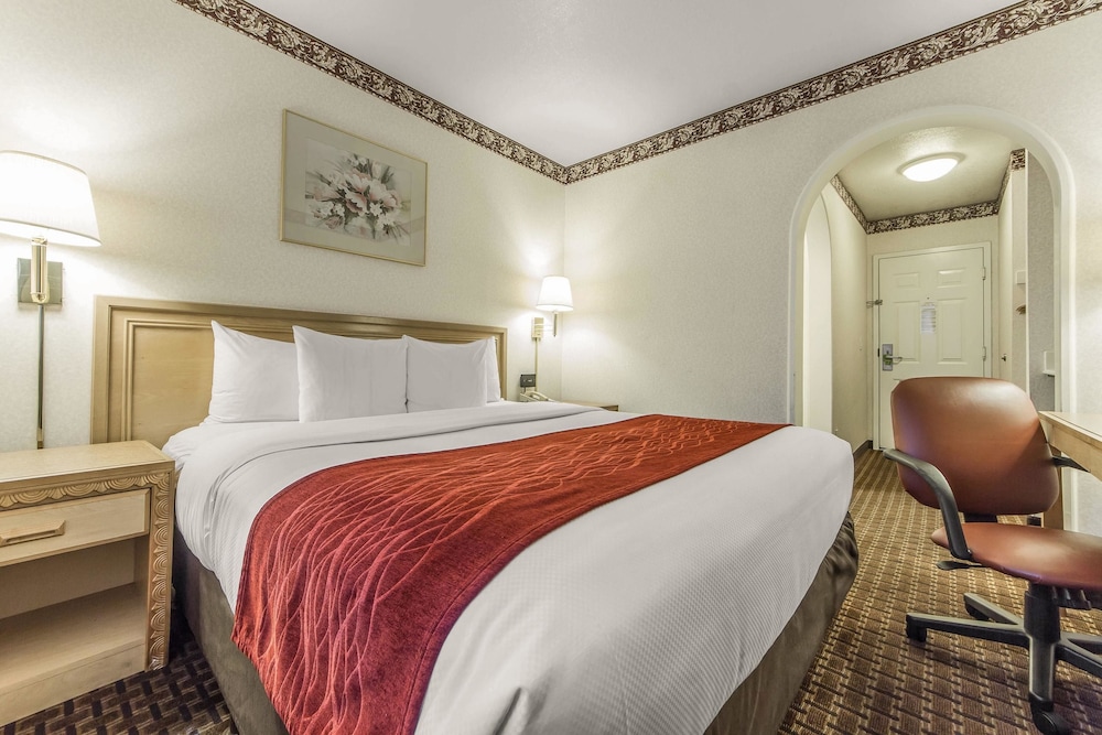 Standard Room, 1 King Bed - Photo 10