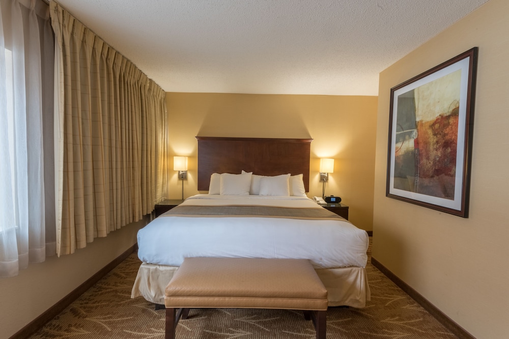 Room, 1 Queen Bed