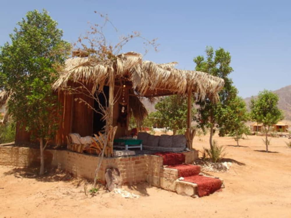 Standard Bungalow, Sea View, Sea Facing (Single) photo 2