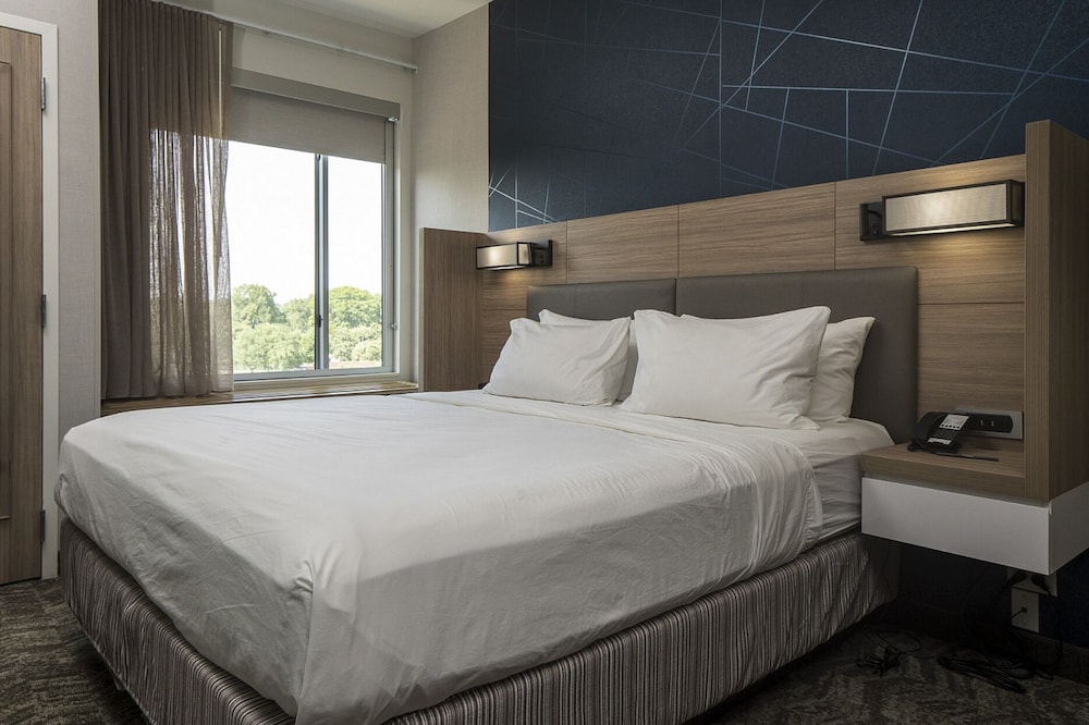 Suite, 1 King Bed