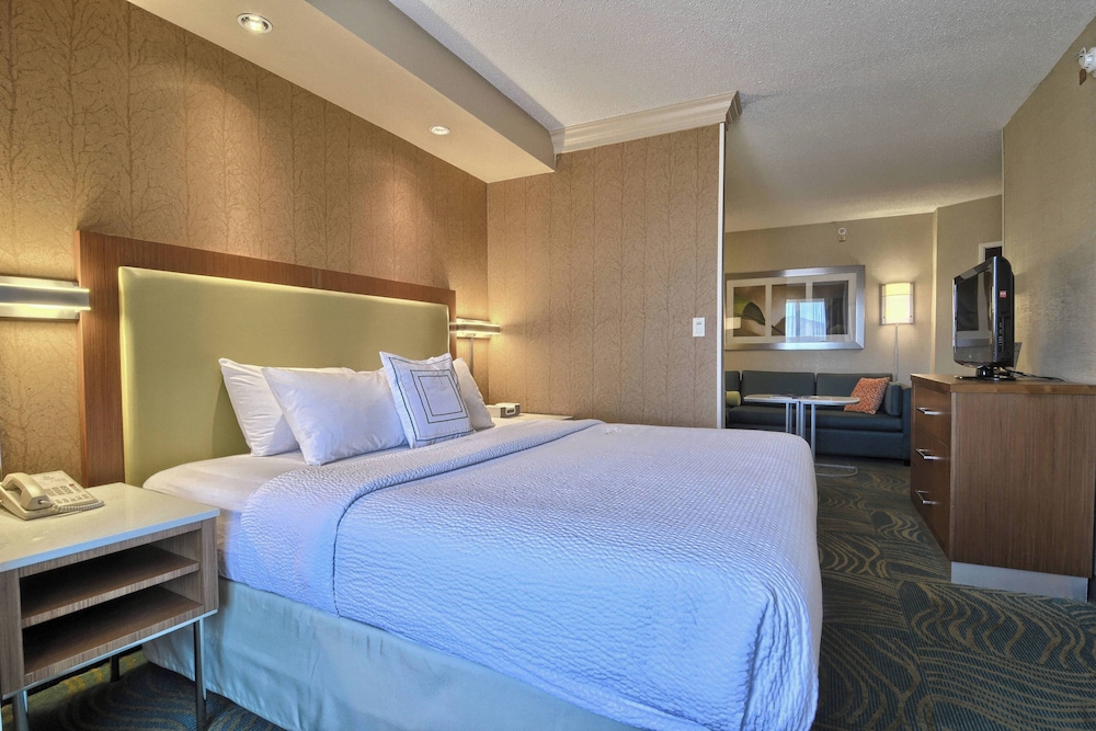 Deluxe Suite, 1 Bedroom (Hearing Accessible) photo 2