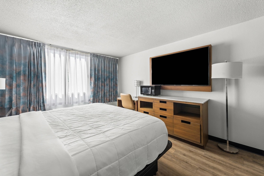 Standard Room, 1 King Bed, Non Smoking - Photo 4