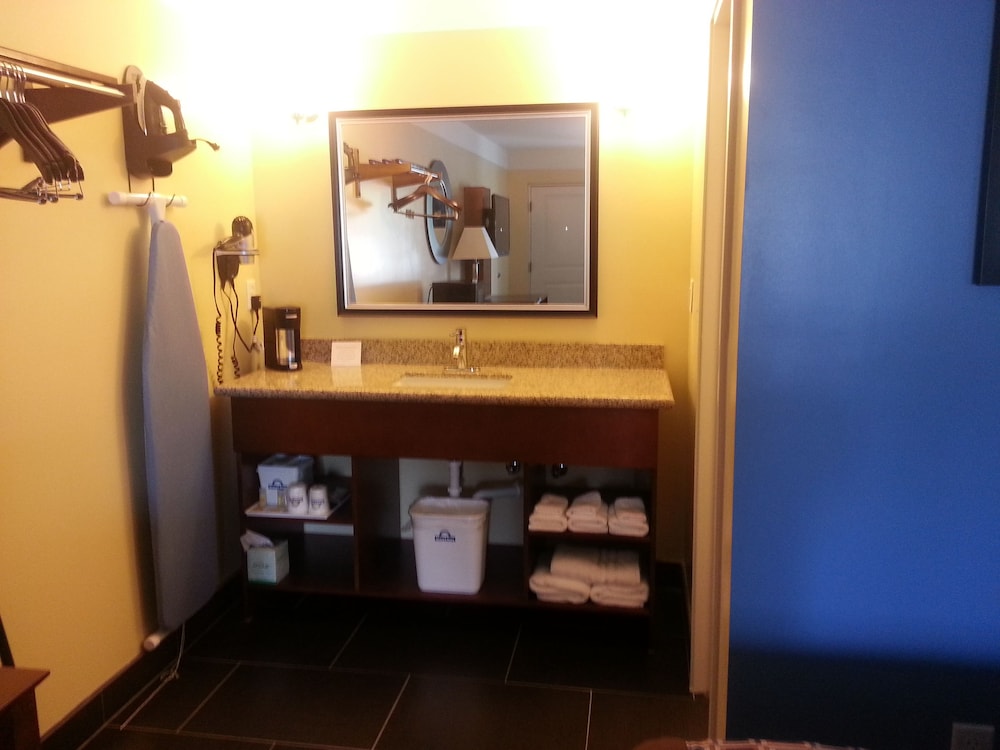 Room, 1 King Bed, Refrigerator & Microwave photo 2