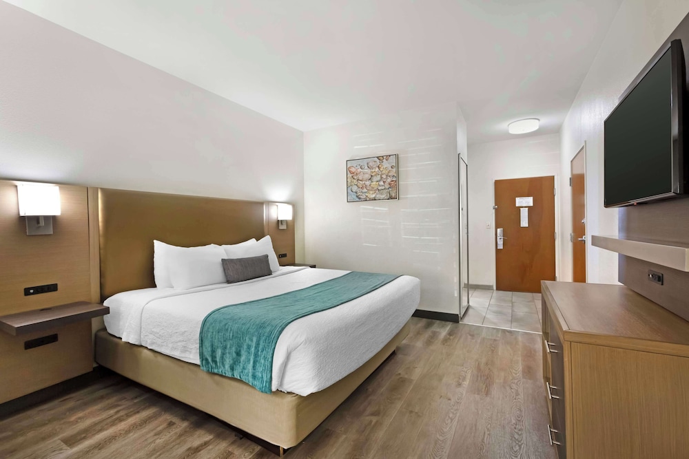 Standard Room, 1 King Bed, Non Smoking, Refrigerator & Microwave (with Sofabed) - Photo 1