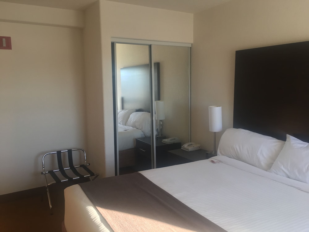 Business Suite, 1 Queen Bed photo 2