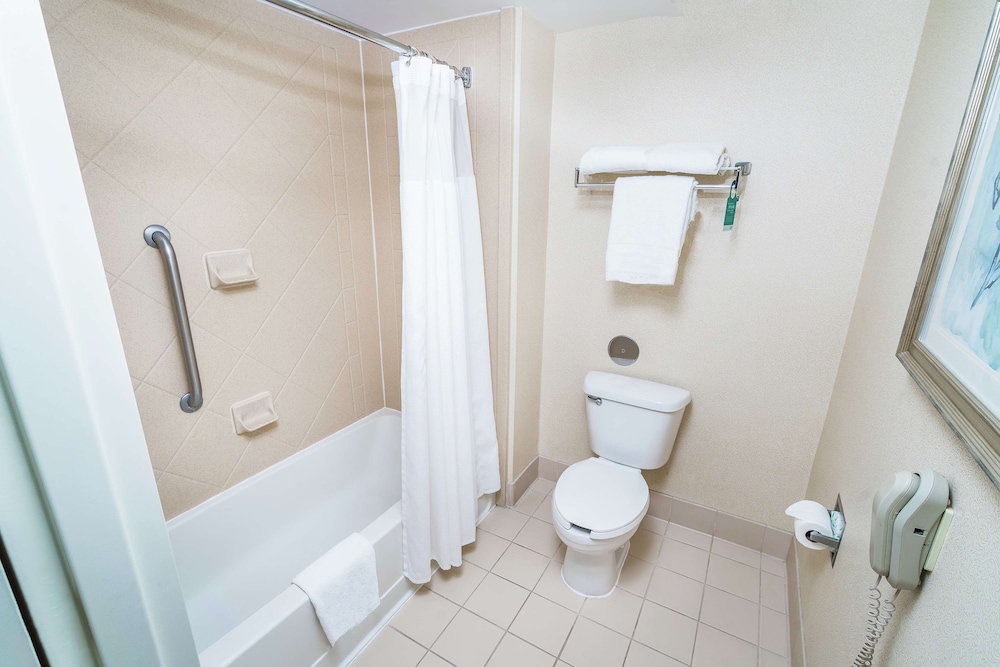 Premium Suite, 1 King Bed, Accessible, Non Smoking (Hearing) - Photo 11