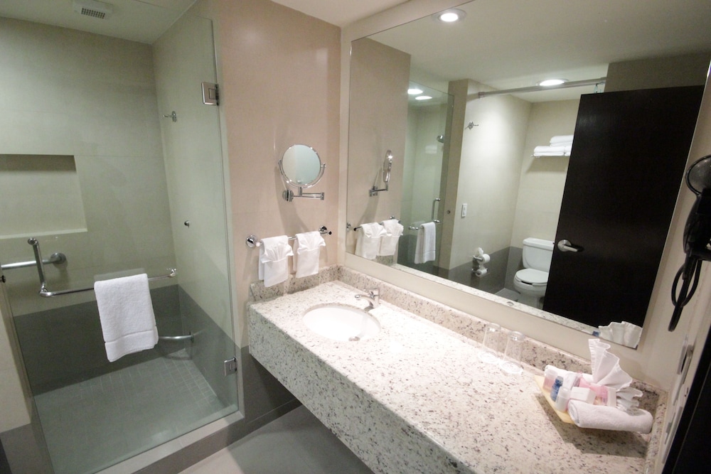 Suite, 1 King Bed - Photo 15