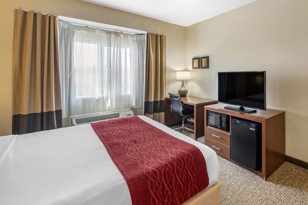 Standard Single Room, 1 King Bed, Roll-in Shower, Non Smoking photo 2