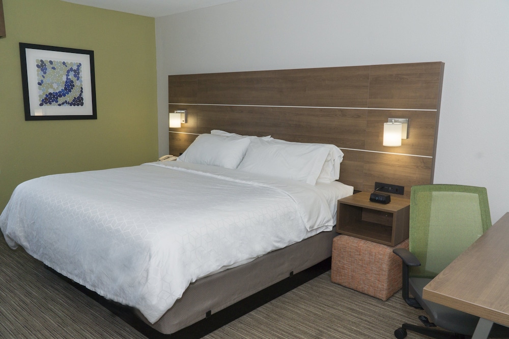 Suite, 1 King Bed - Photo 1