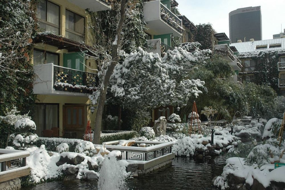 Premium Double Room, Garden Area