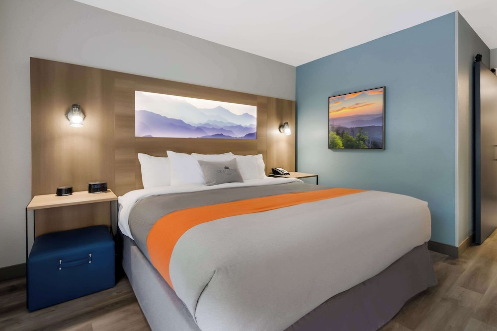 1 King Bed, Accessible, Non Smoking (Roll-in Shower) - Photo 4