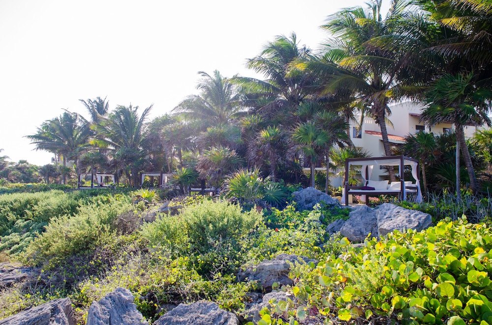 Deluxe Room (Concierge, Unlimited Xcaret Xperience - Basic Entrance) thumbnail 6
