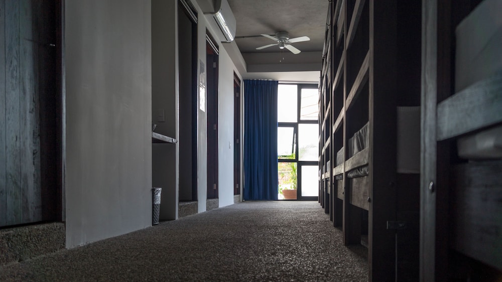 Traditional Shared Dormitory (Bunk Bed Style) photo 2