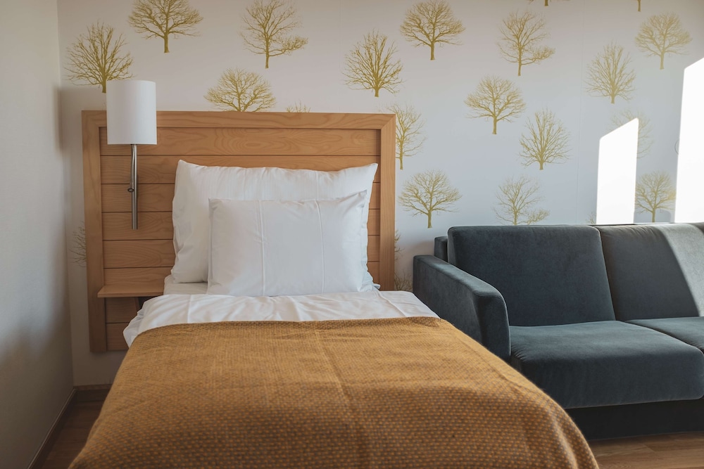 Standard Room, 1 Twin Bed, Accessible, Non Smoking (Walk-in Shower;with Sofabed)