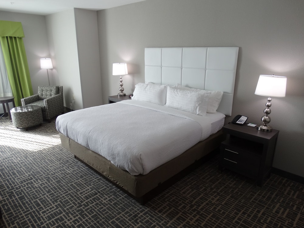Standard Studio Suite, 1 King Bed with Sofa bed (Additional Living Area)