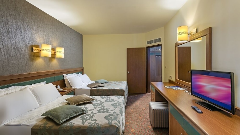 Standard Room, Mountain View