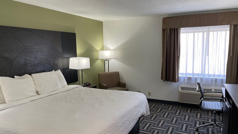 Room, 1 King Bed, Non Smoking - Photo 4