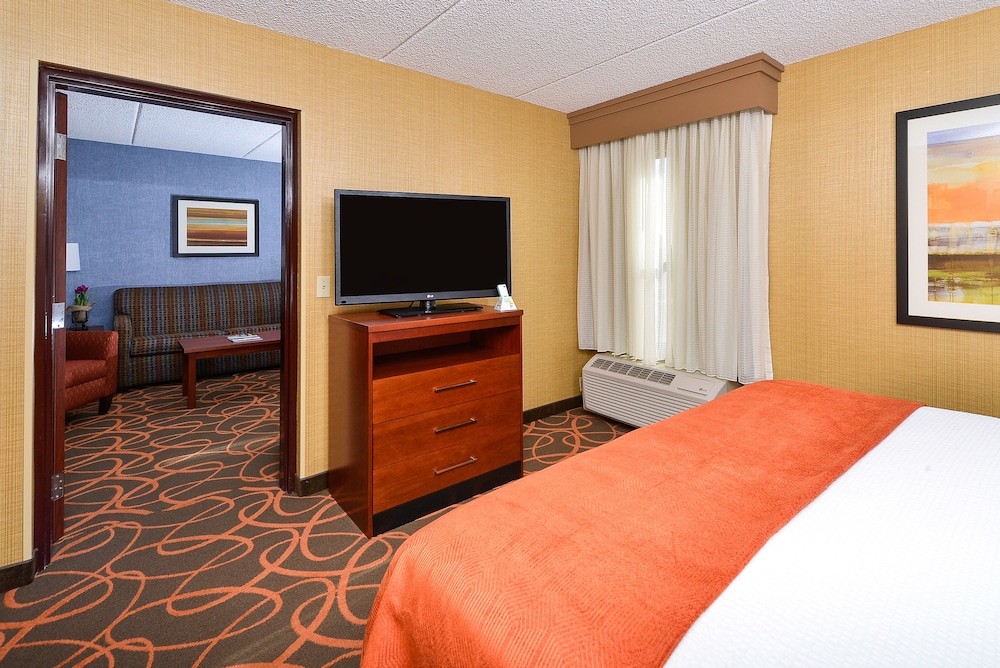 Suite, 1 King Bed, Accessible, Non Smoking (with Sofabed) - Photo 1