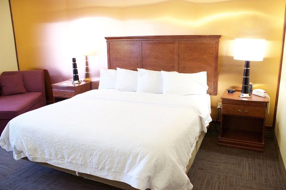 Room, 1 King Bed, Accessible, Non Smoking photo 2
