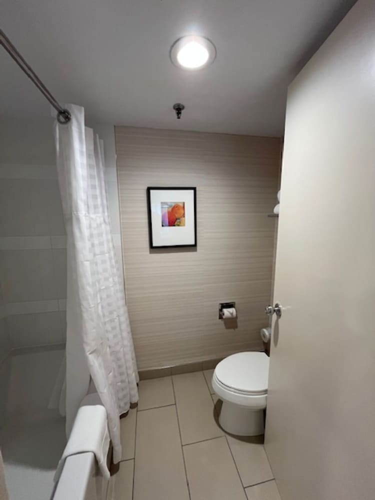 Deluxe Suite, Multiple Beds - Photo 15