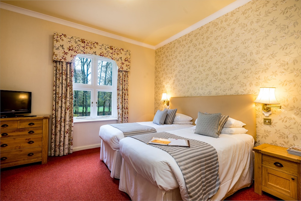 Single Room photo 2