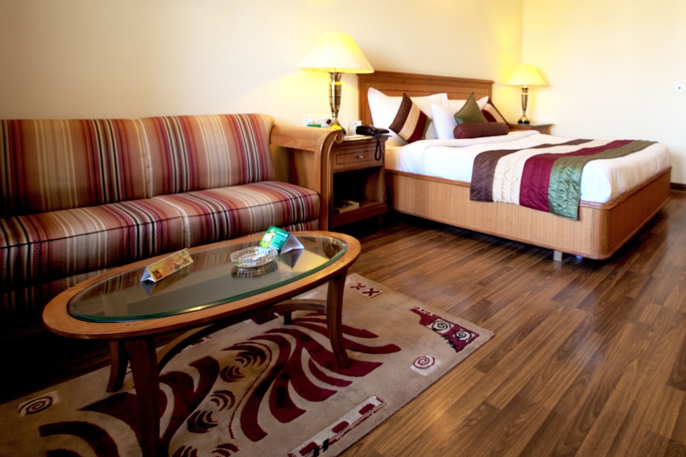 Deluxe Room ( A/C ) - Photo 6