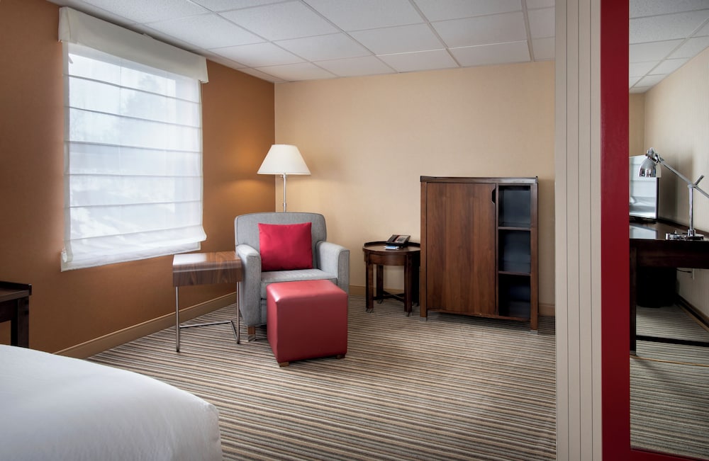 Executive Studio Suite photo 3