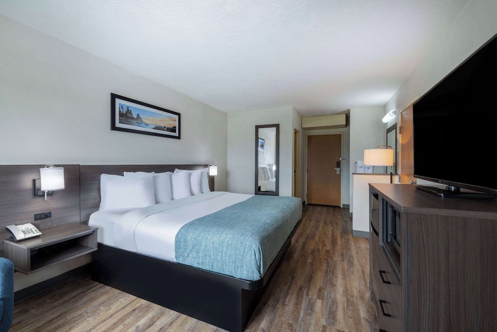 Suite, 1 King Bed, Non Smoking photo 1