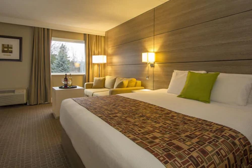 Standard Room, 1 King Bed with Sofa bed -Pet Friendly($) - Photo 3