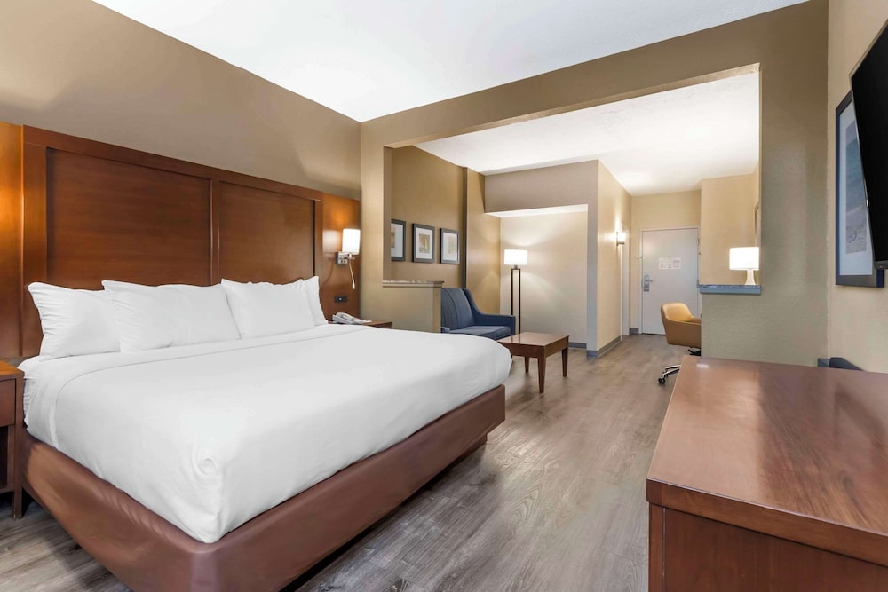 1 King Bed, Suite with Sofabed, Nonsmoking, Accessible photo 2