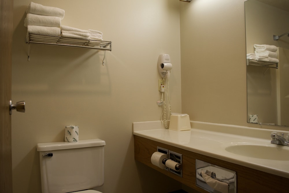 Exclusive Single Room photo 3