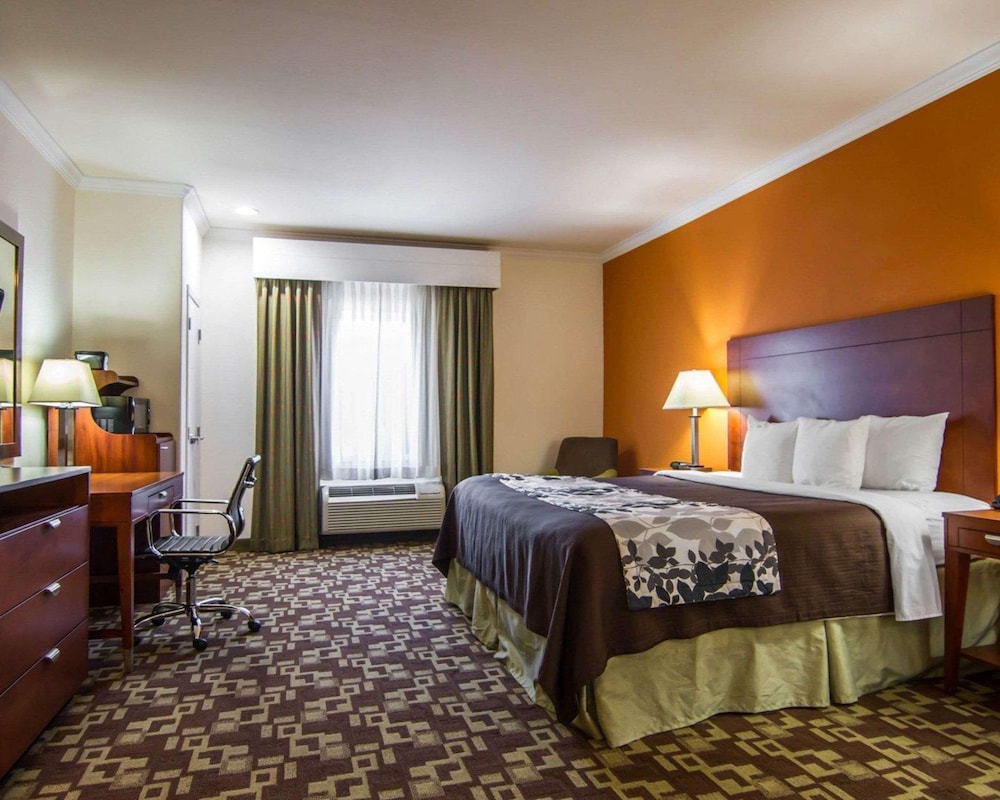 Standard Room, 1 King Bed, Non Smoking - Photo 1