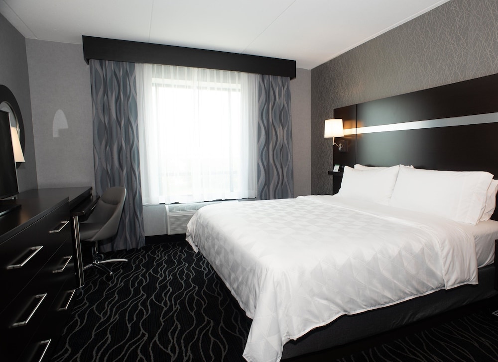 Suite, 1 King Bed photo 3