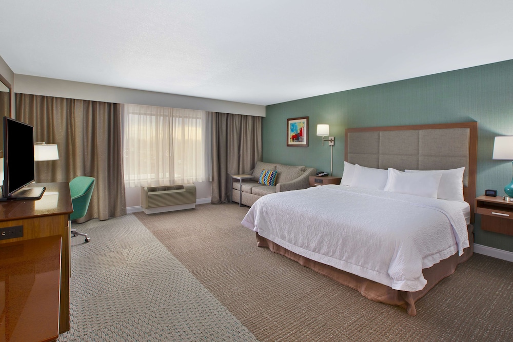 Room, 1 King Bed with Sofa bed, Accessible, Non Smoking