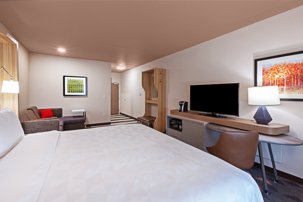Suite, 1 Bedroom - Photo 3