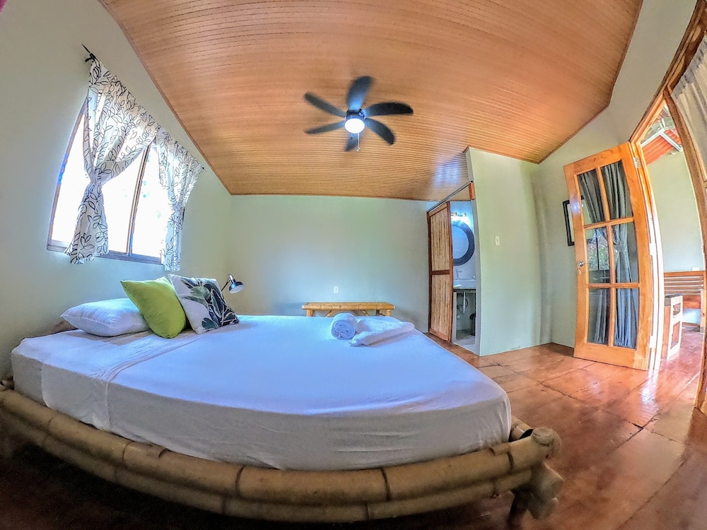 Comfort Room photo 1