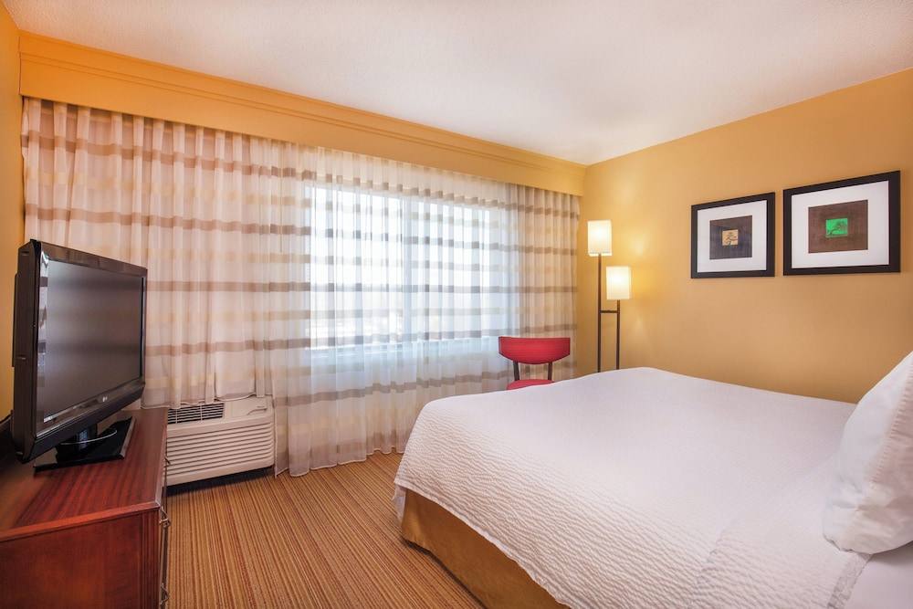 Suite, 1 Bedroom photo 2